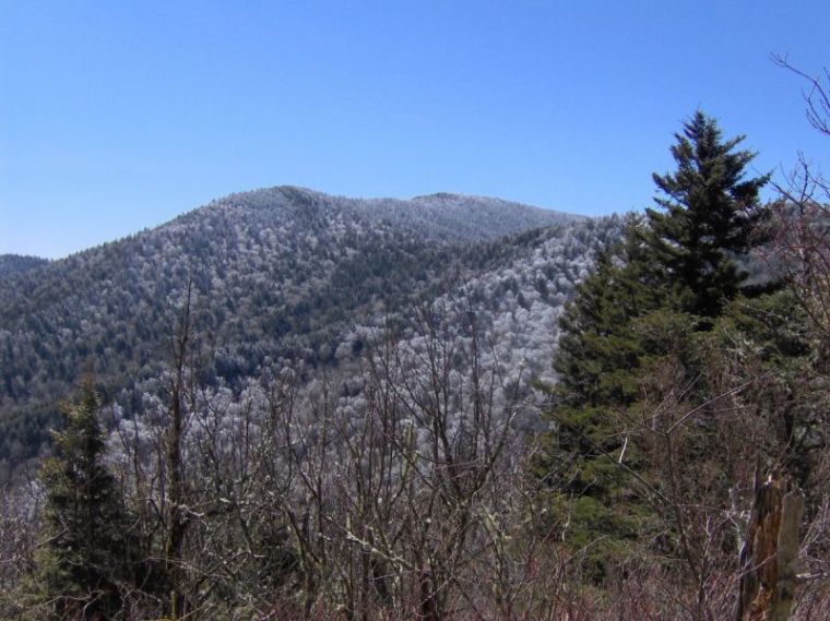 32699_w_760_569[1].jpg